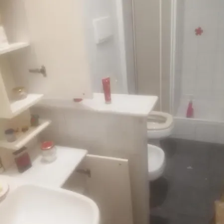 The Cat's Hotel *