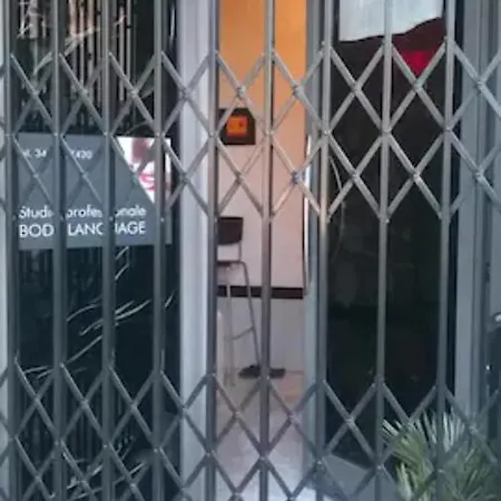 The Cat's Hotel *