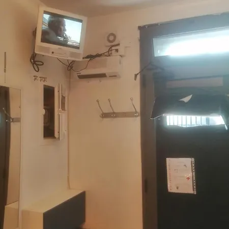 The Cat's Hotel