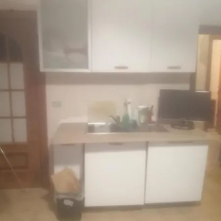 The Cat's