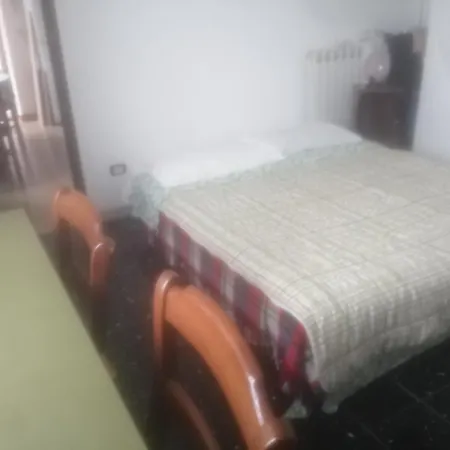 The Cat's Hotel