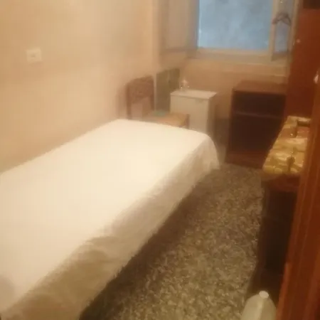The Cat's Hotel
